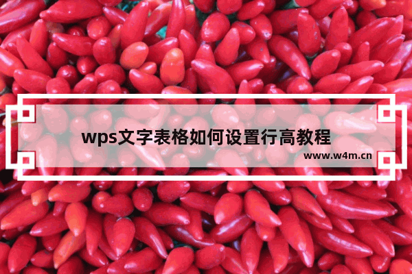 wps文字表格如何设置行高教程