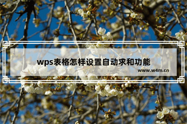 wps表格怎样设置自动求和功能