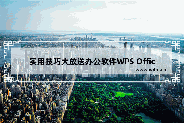 实用技巧大放送办公软件WPS Office 2007