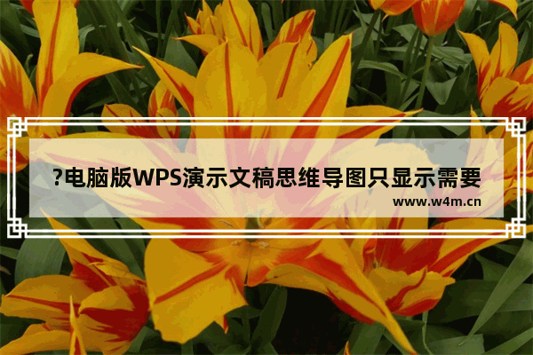 ?电脑版WPS演示文稿思维导图只显示需要编辑的部分