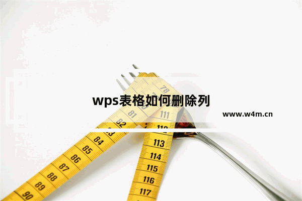 wps表格如何删除列