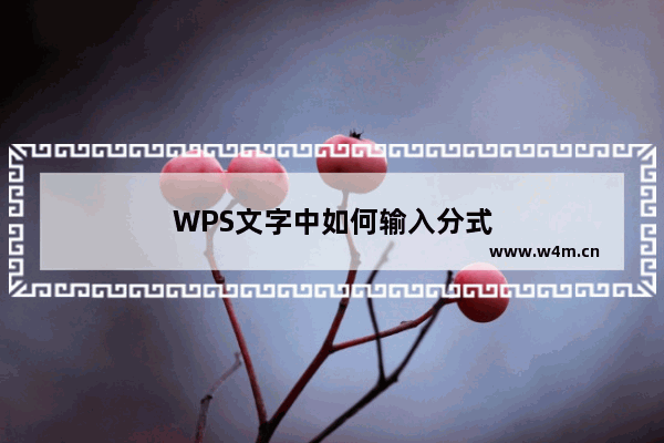 WPS文字中如何输入分式