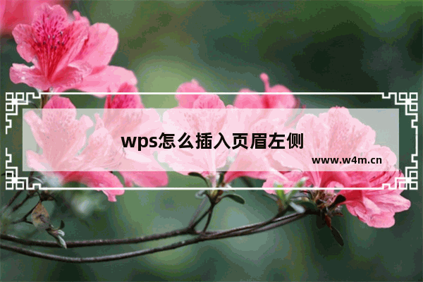 wps怎么插入页眉左侧