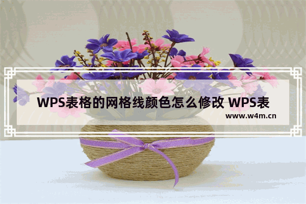 WPS表格的网格线颜色怎么修改 WPS表格的网格线颜色修改教学