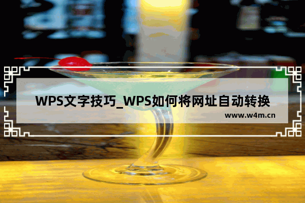 WPS文字技巧_WPS如何将网址自动转换为超链接