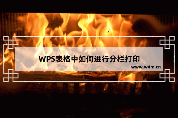 WPS表格中如何进行分栏打印