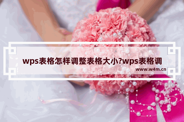 wps表格怎样调整表格大小?wps表格调整表格大小操作教程