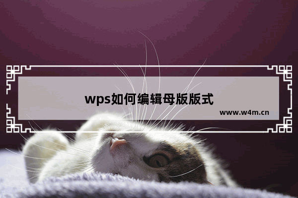 wps如何编辑母版版式