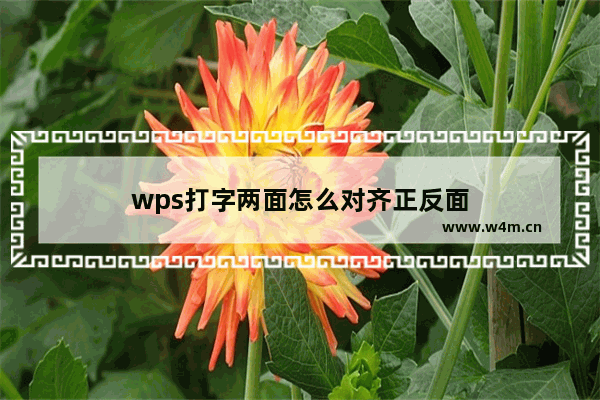 wps打字两面怎么对齐正反面