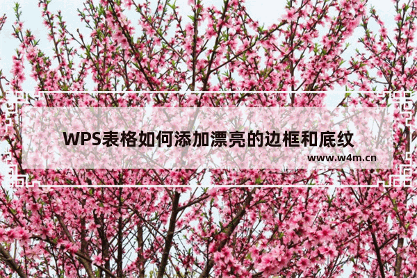 WPS表格如何添加漂亮的边框和底纹