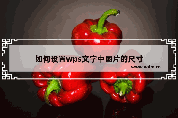 如何设置wps文字中图片的尺寸