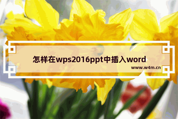 怎样在wps2016ppt中插入word文档