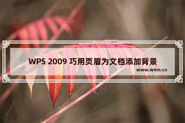 WPS 2009 巧用页眉为文档添加背景