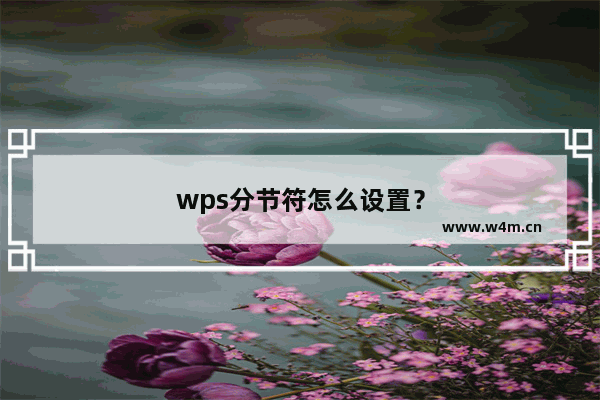 wps分节符怎么设置？