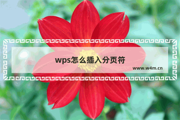 wps怎么插入分页符