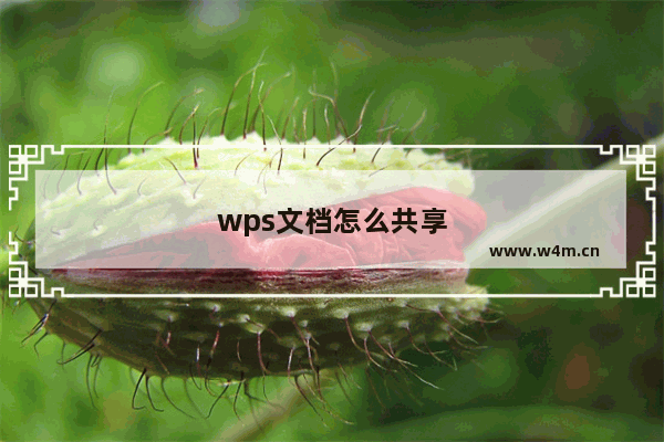 wps文档怎么共享