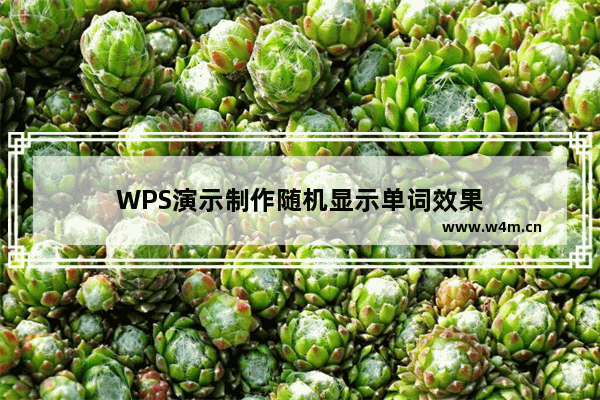 WPS演示制作随机显示单词效果