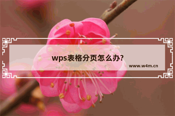 wps表格分页怎么办?