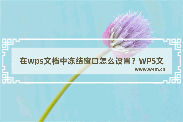 在wps文档中冻结窗口怎么设置？WPS文档设置冻结窗口的方法技巧