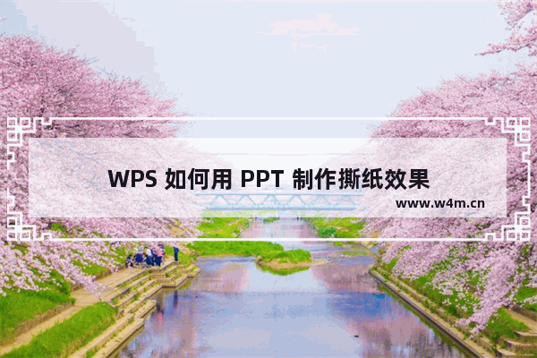 WPS 如何用 PPT 制作撕纸效果