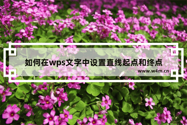 如何在wps文字中设置直线起点和终点