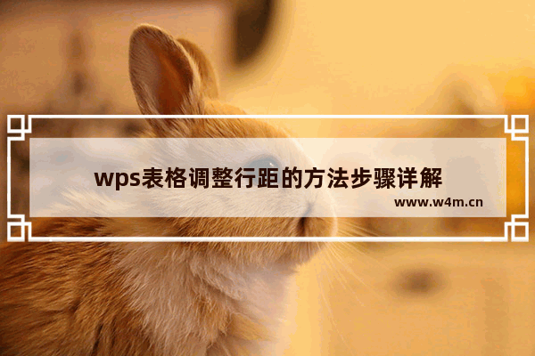 wps表格调整行距的方法步骤详解