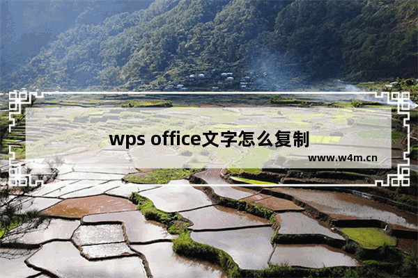 wps office文字怎么复制