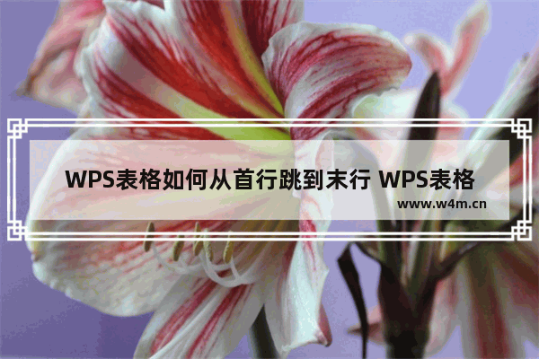 WPS表格如何从首行跳到末行 WPS表格如何从首列自动跳到末列