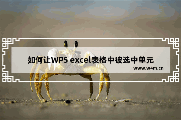 如何让WPS excel表格中被选中单元格所在行和列突出显示？