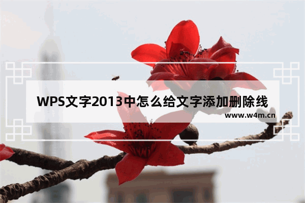 WPS文字2013中怎么给文字添加删除线