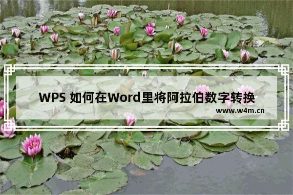 WPS 如何在Word里将阿拉伯数字转换成中文数字或序号