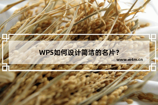 WPS如何设计简洁的名片？