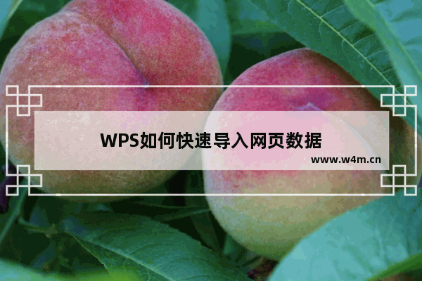 WPS如何快速导入网页数据