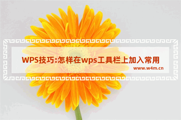 WPS技巧:怎样在wps工具栏上加入常用图片?