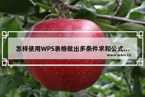 怎样使用WPS表格做出多条件求和公式？WPS表格怎么做多条件求和公式