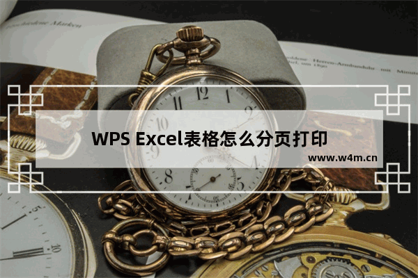 WPS Excel表格怎么分页打印