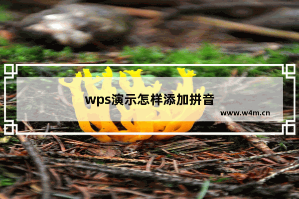 wps演示怎样添加拼音