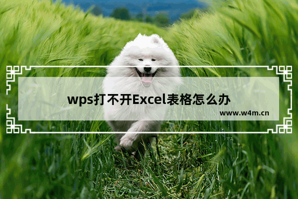 wps打不开Excel表格怎么办