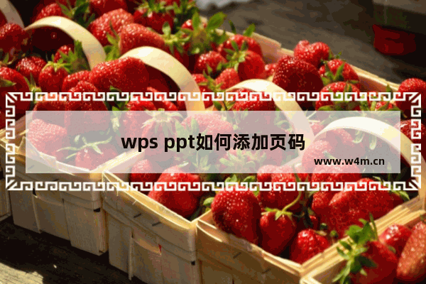 wps ppt如何添加页码