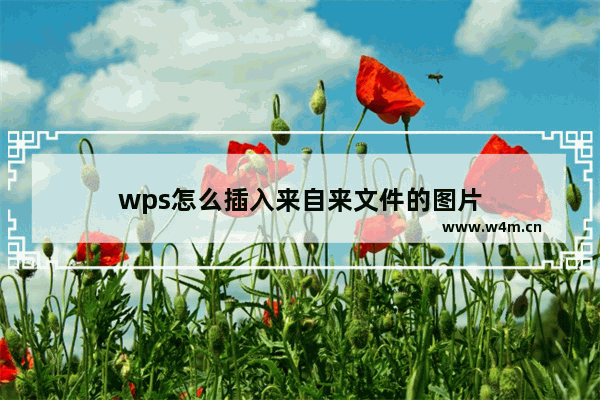 wps怎么插入来自来文件的图片