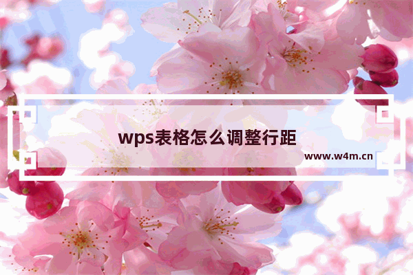 wps表格怎么调整行距