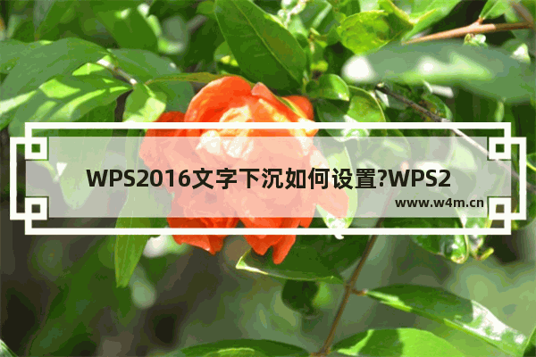 WPS2016文字下沉如何设置?WPS2016文字下沉的设置方法