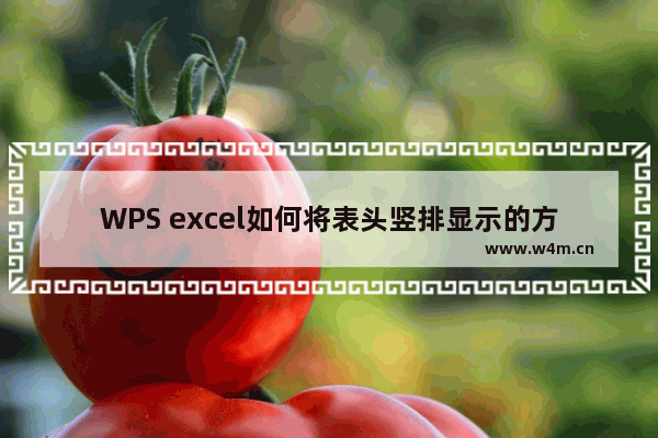 WPS excel如何将表头竖排显示的方法