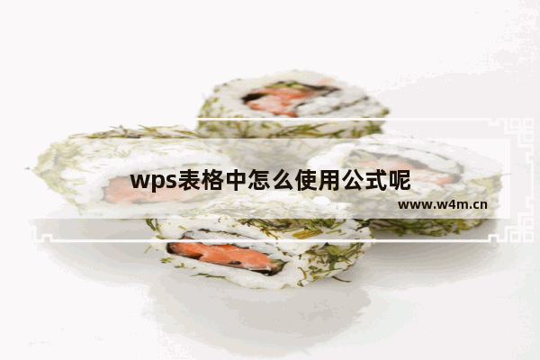 wps表格中怎么使用公式呢