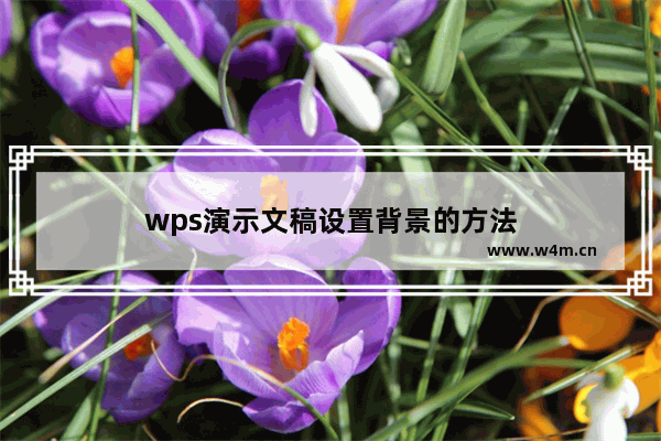 wps演示文稿设置背景的方法