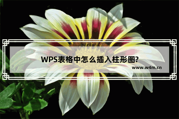 WPS表格中怎么插入柱形图?