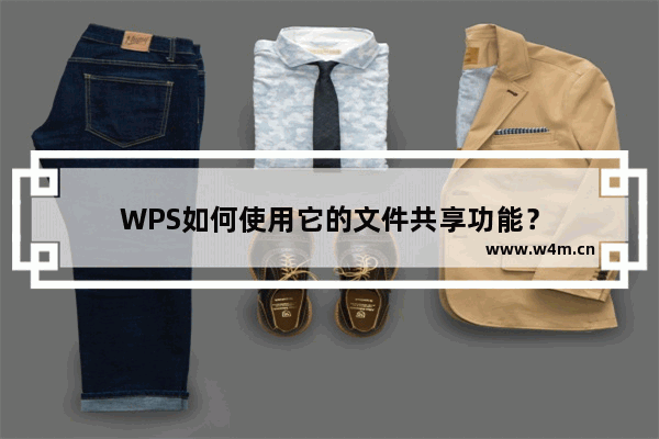 WPS如何使用它的文件共享功能？