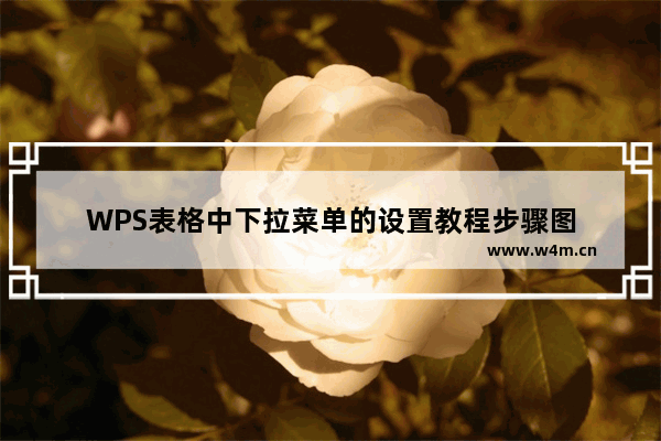 WPS表格中下拉菜单的设置教程步骤图