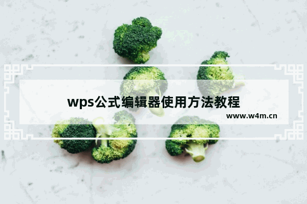 wps公式编辑器使用方法教程