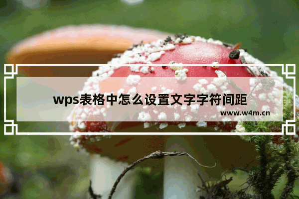 wps表格中怎么设置文字字符间距